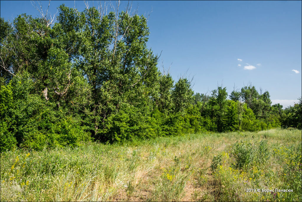 Дорога вдоль берега