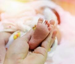 фото: интернет