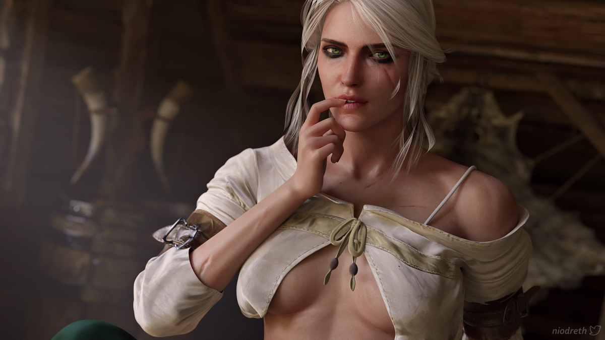 Hunt or be hunted the witcher 3 ноты фото 87