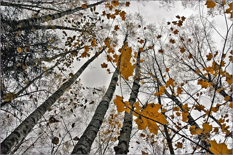 фото из интернета