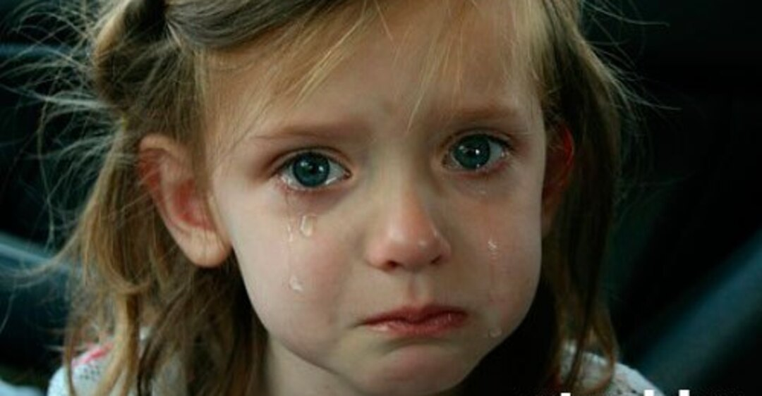 фото из свободных источников