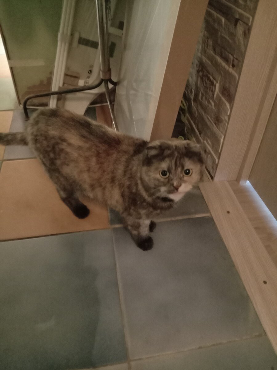 Фото автора. Ладно, оставляем