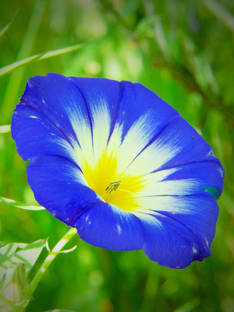 Фото с pixabay.com