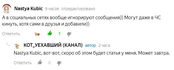 Девушка об отношении вьетнамцев в чате