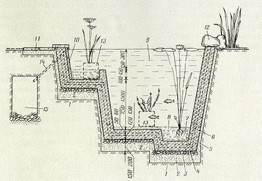 Схема пруда / бассейна