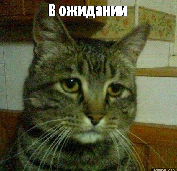 Фото с сайта: http://memesmix.net/media/created/blqrnx.jpg
