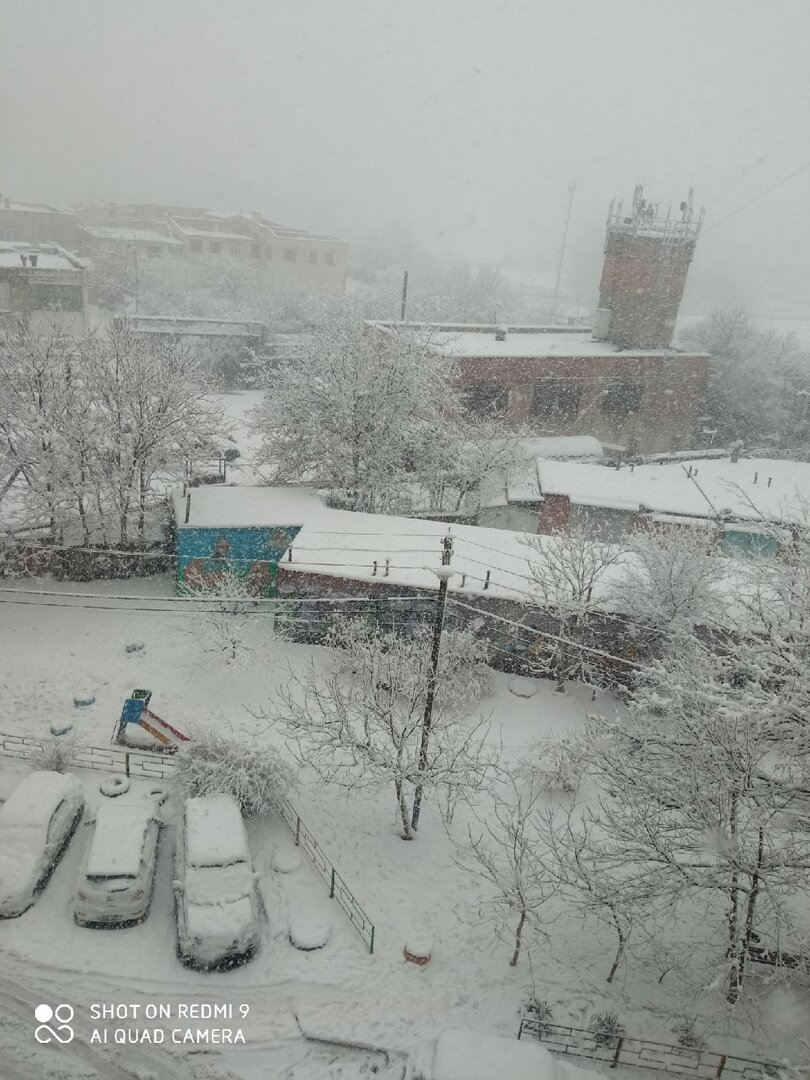 Утро курьера