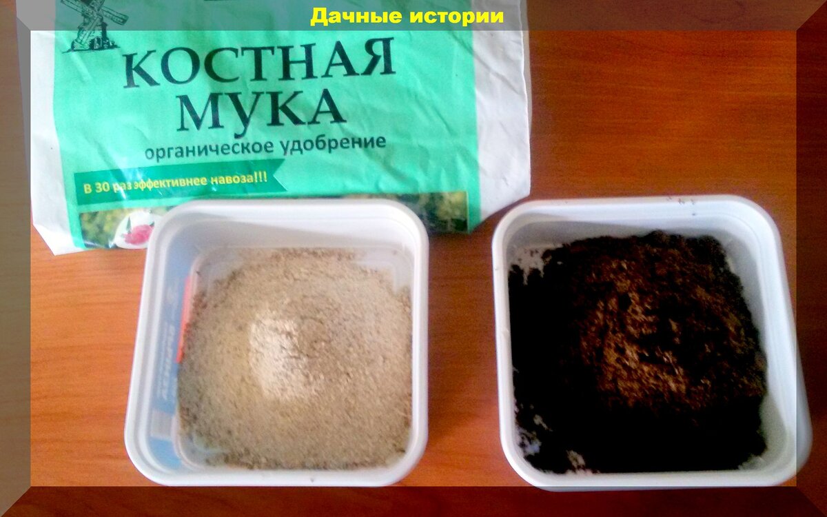 https://vk.com/photo-159774511_457248514