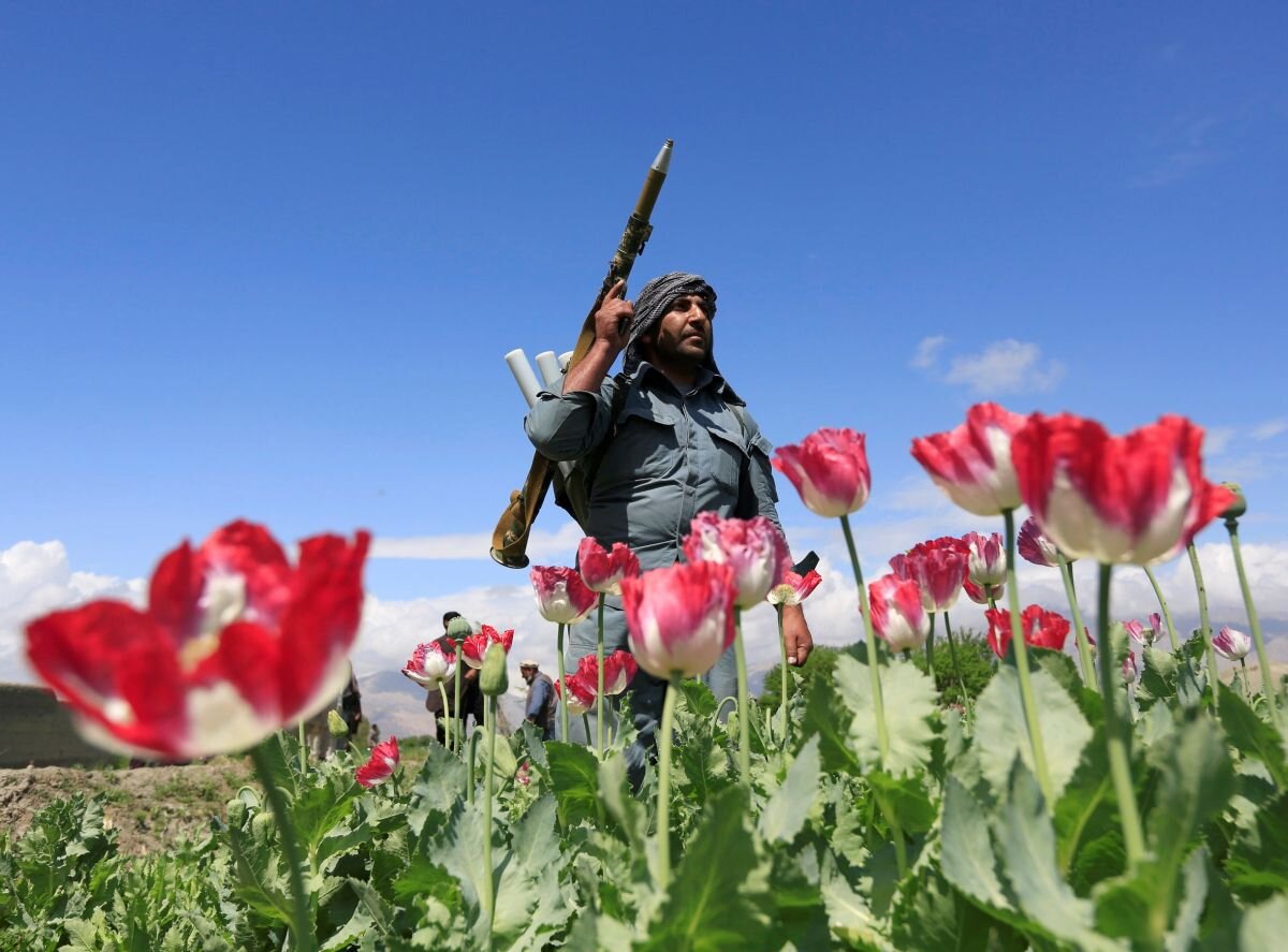 Опиумные поля Афганистана, фото REUTERS