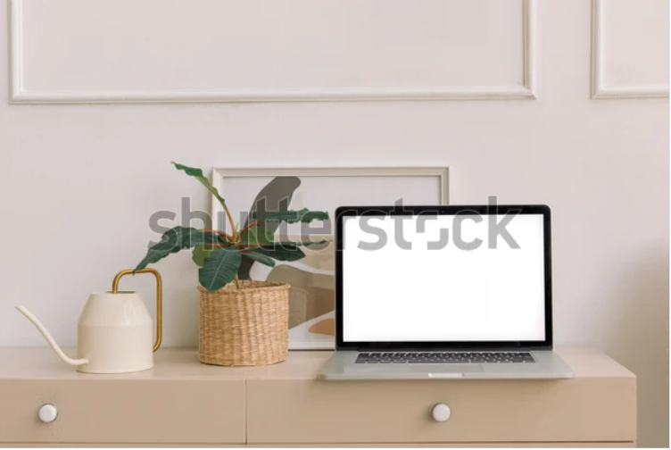 https://www.shutterstock.com/ru/image-photo/laptop-computer-blank-screen-home-plant-1891060615