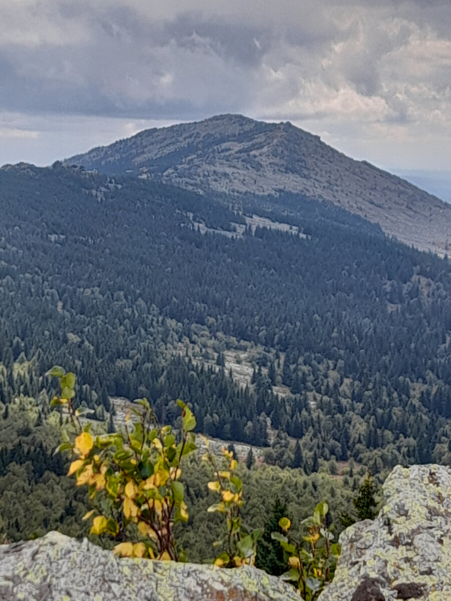"Доброе утро, мир! Ты прекрасен!" Фото автора