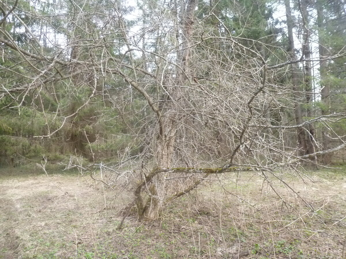 Фото наше, но не оттуда.)))