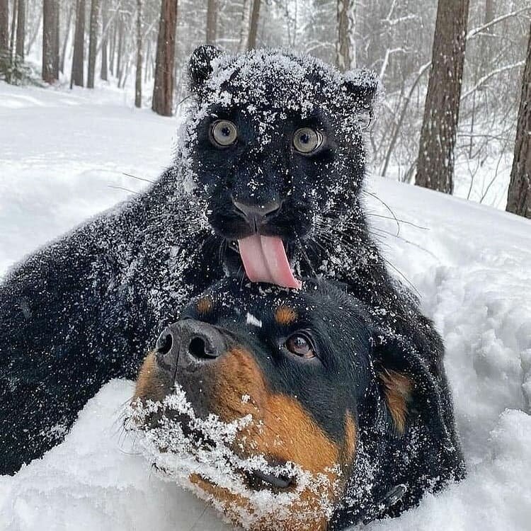 Татьяна Пилипчук☯️