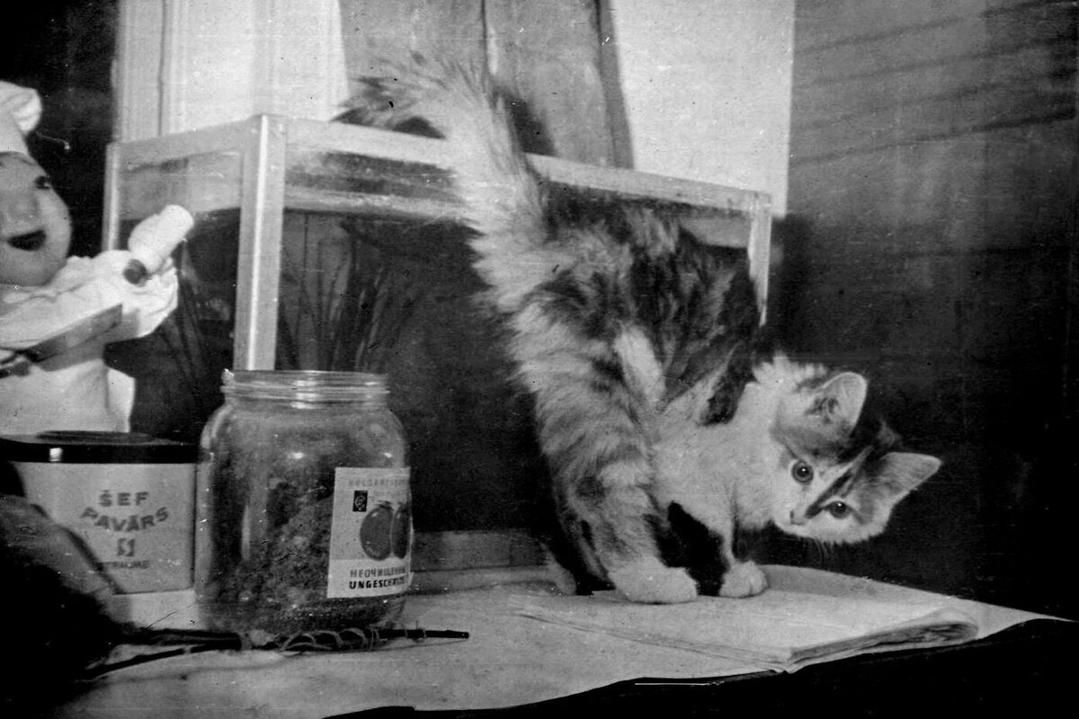 Фото автора