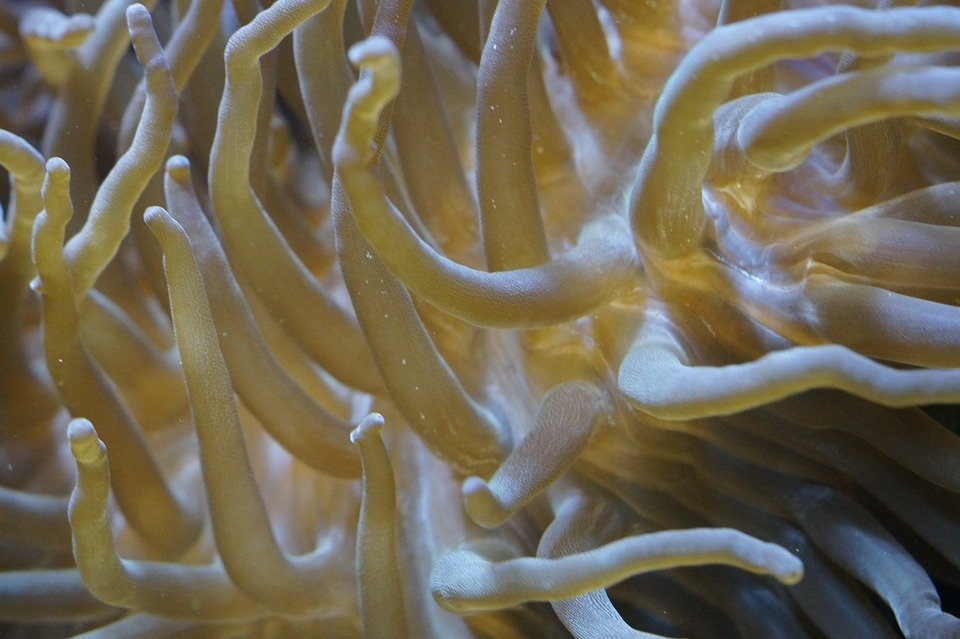 фото взято из открытых источников