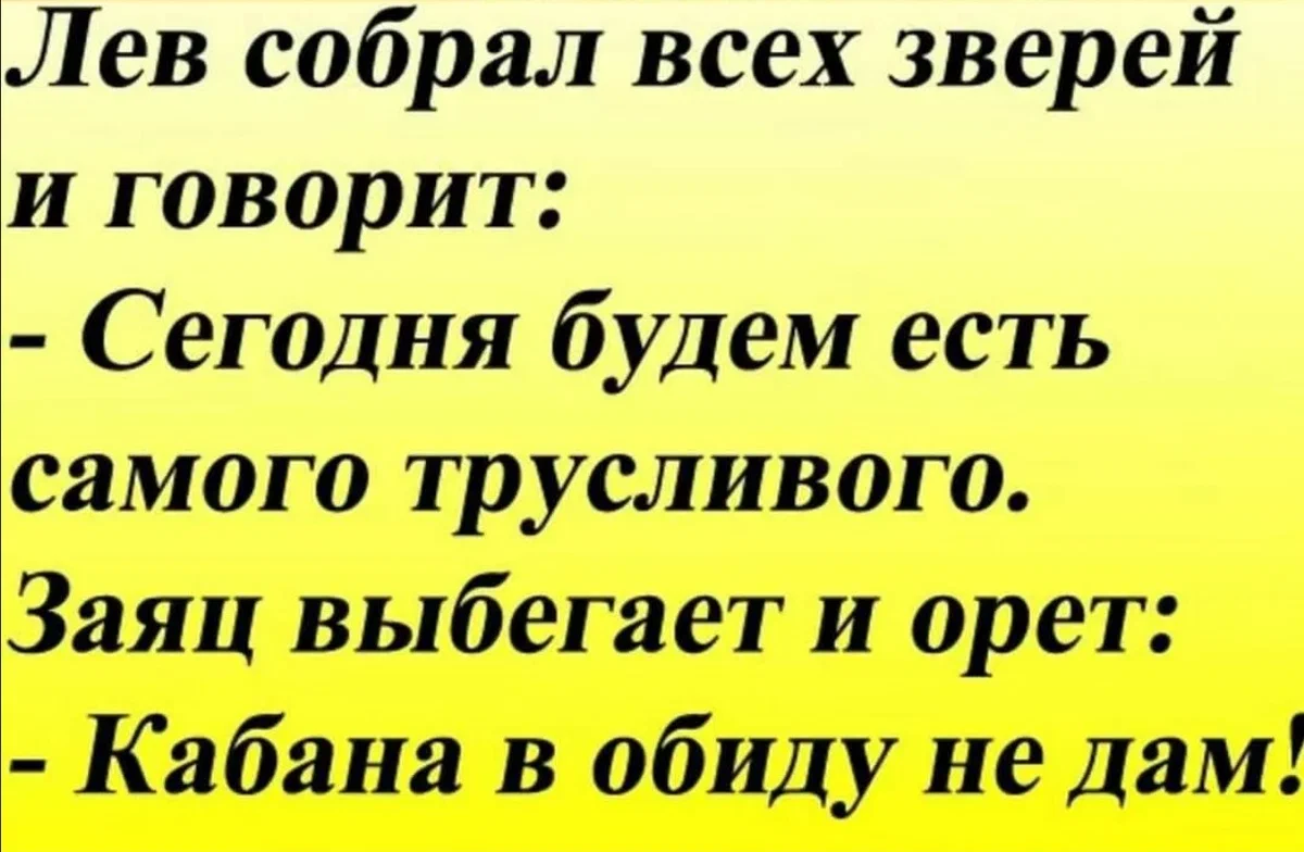 Анекдоты из России - самые смешные анекдоты и другой юмор