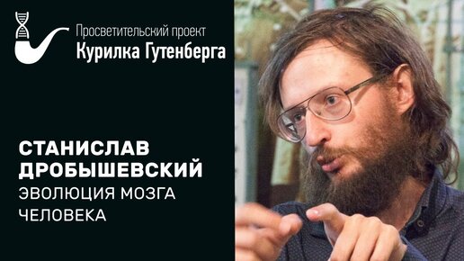 Эволюция мозга человека – Станислав Дробышевский