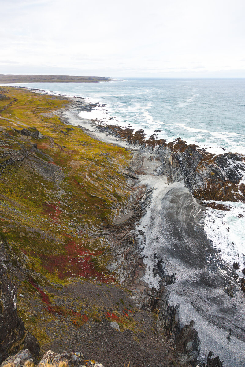Медведи на полуострове рыбачий. Экскурсии на полуостров рыбачий. Полуостров рыбачий грибы. Достопримечательности рыбачьего и среднего. Полуостров рыбачий мурманская область.