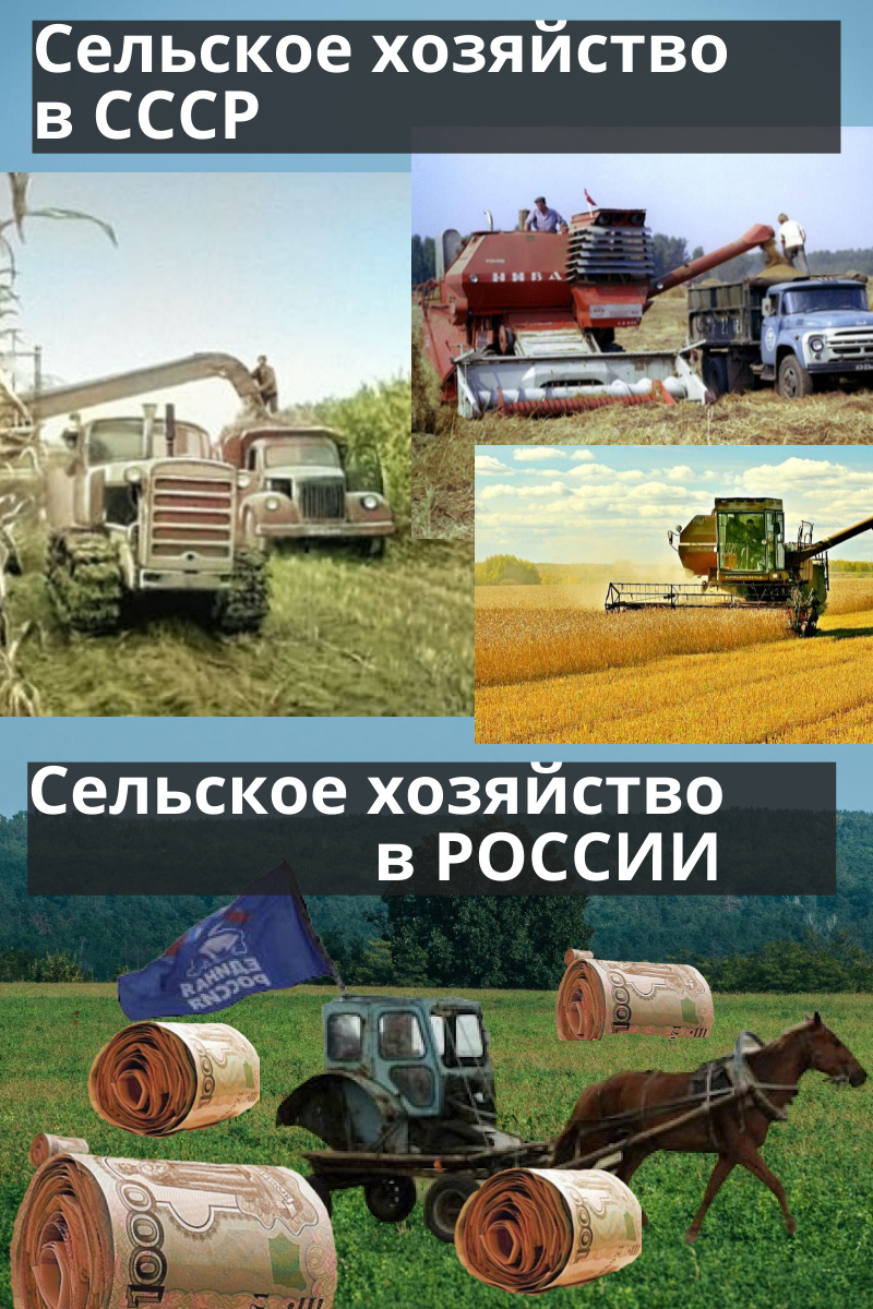 Эпоха оптимизации с/х предприятий в России продолжается