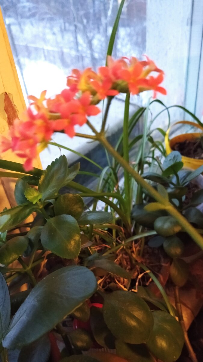 Личное фото.