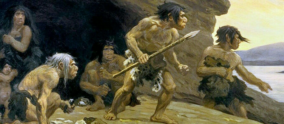 Жизнь на острове