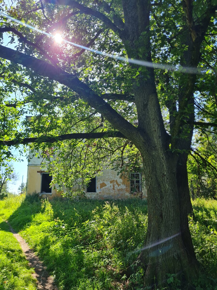 Усадьба Полторацких и кусочек парка