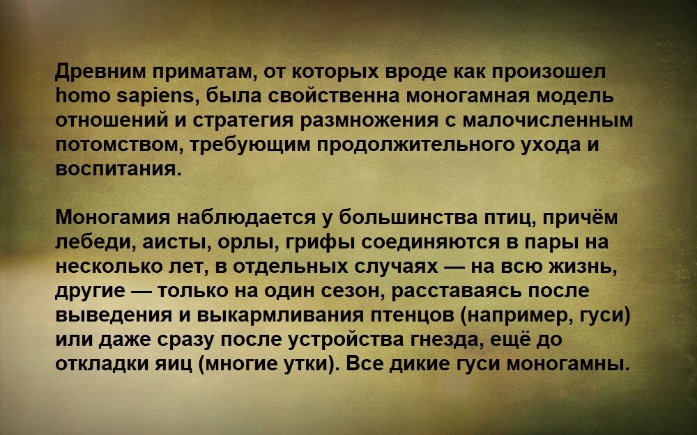 Песенка о моей жене — Вертинский. Полный текст стихотворения — Песенка о моей жене