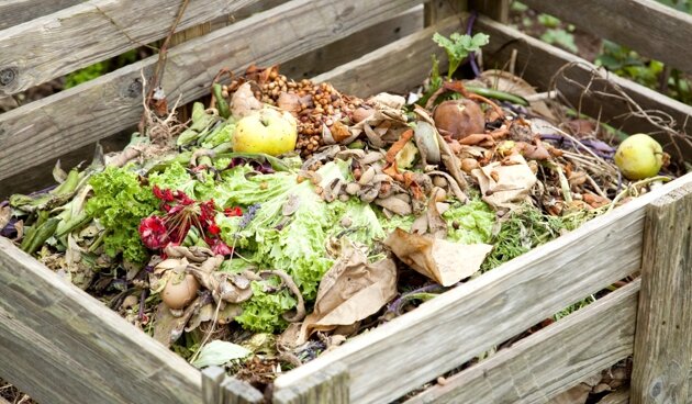    Фото: Stefan Kiefer, globallookpress.com