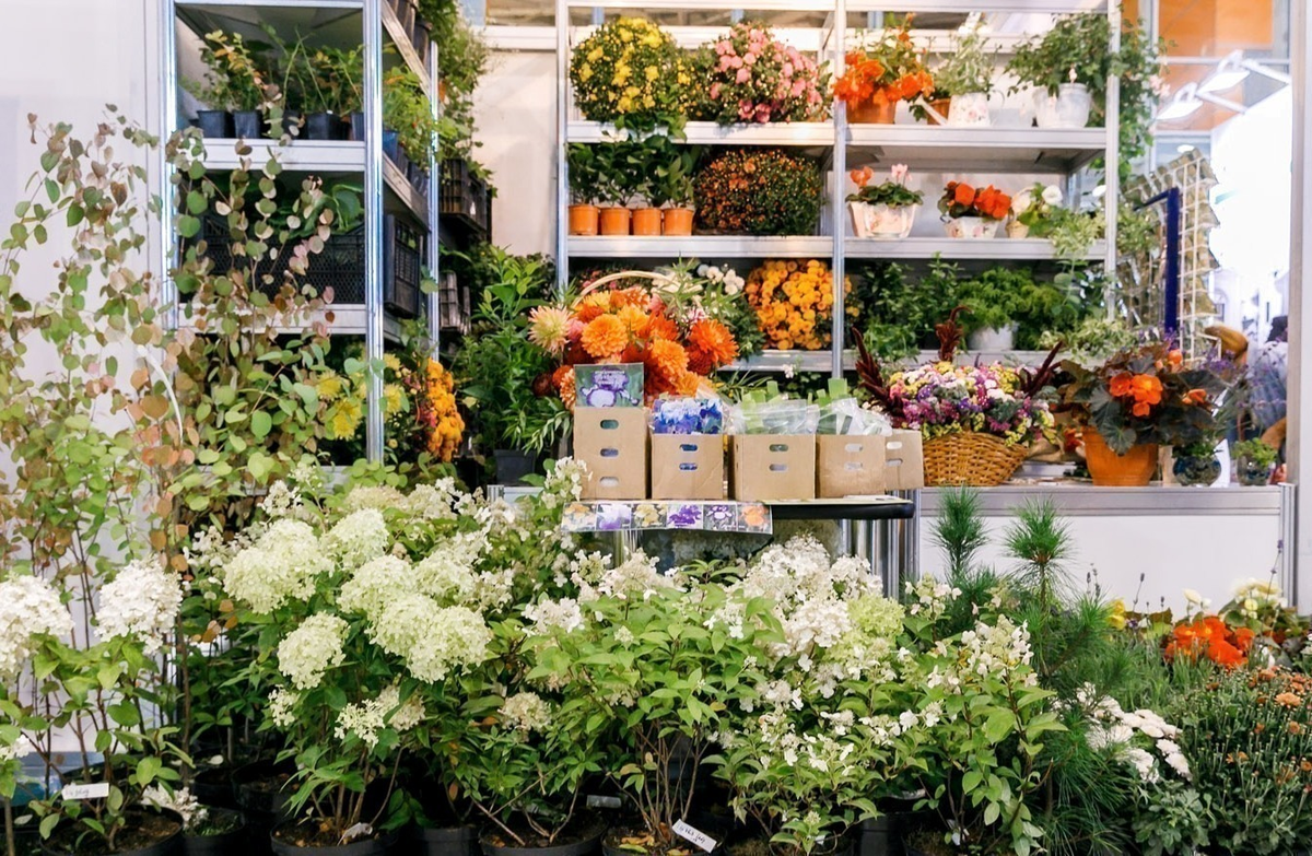 павильон Цветоводство до реконструкции, фото взято из свободного доступа в Интернете