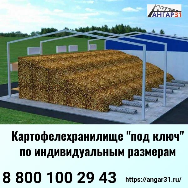 Строительство картофелехранилища в Липецке от производителя