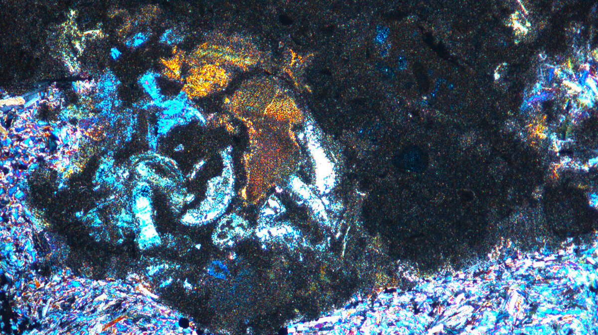   Газпром нефть