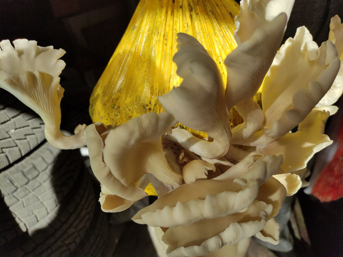 Урожай с одного блока. Фото из личного архива