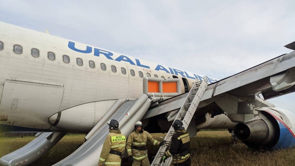 По 100 тысяч каждому. Пассажирам рейса Сочи-Омск выплатили компенсацию