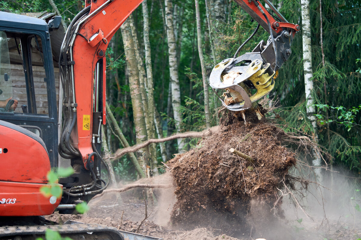 Раскорчевка пней на участке