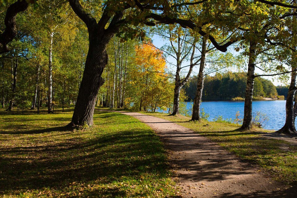 Фото: https://vk.cc/cr26KF