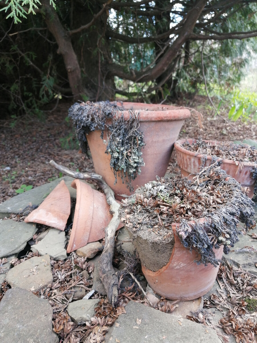 Упс... Апрель 2023