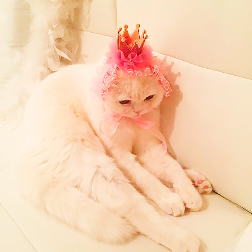 Фото из pinterest.ru