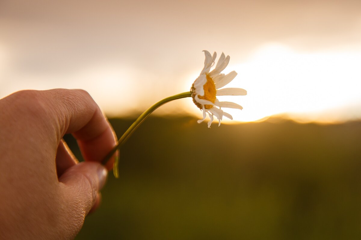 Фото из архива автора 