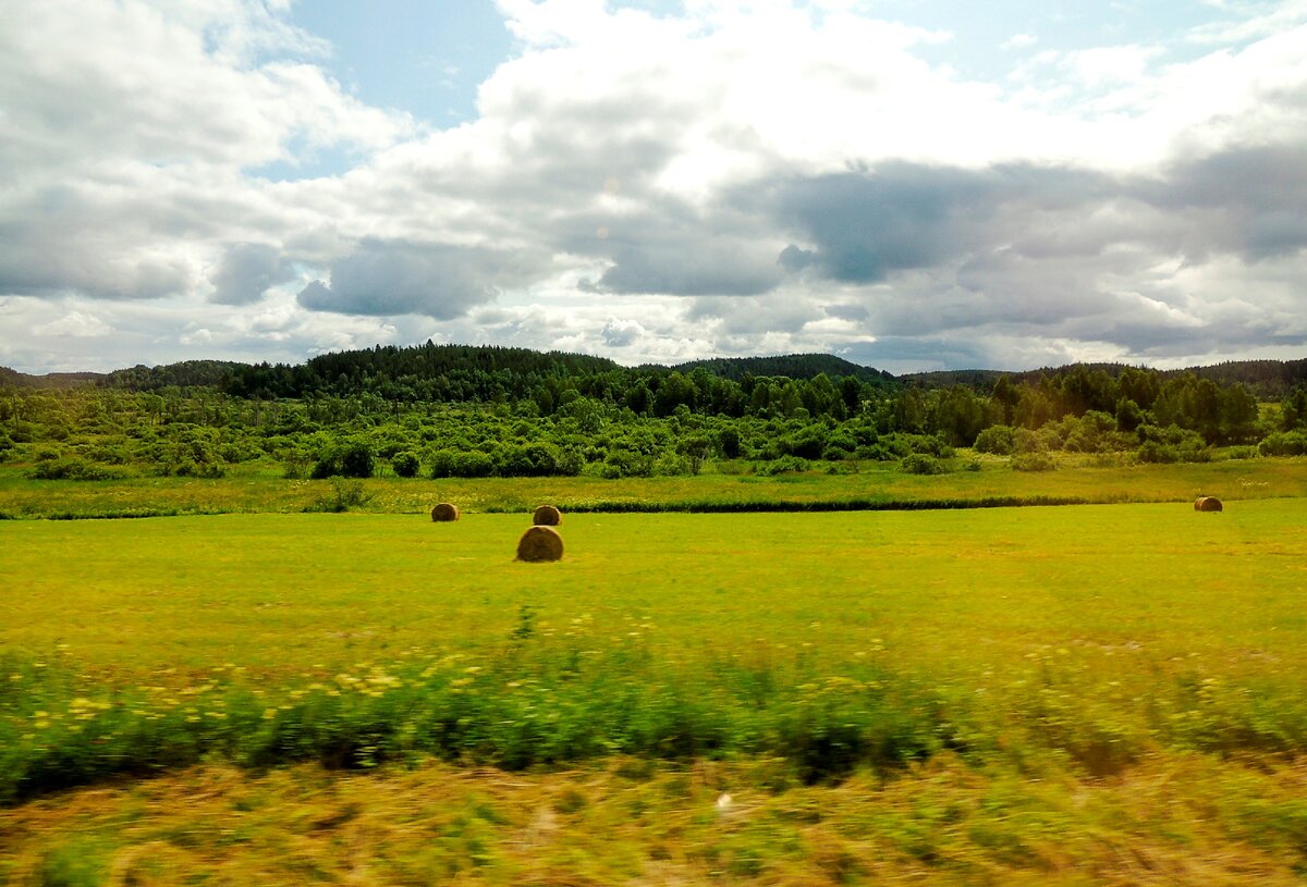 Вид из окна автобуса с трассы на Карельские просторы