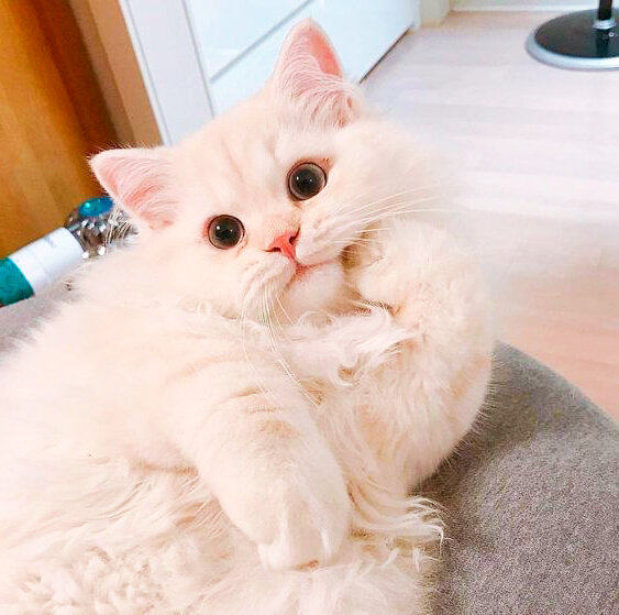 Фото из pinterest.ru