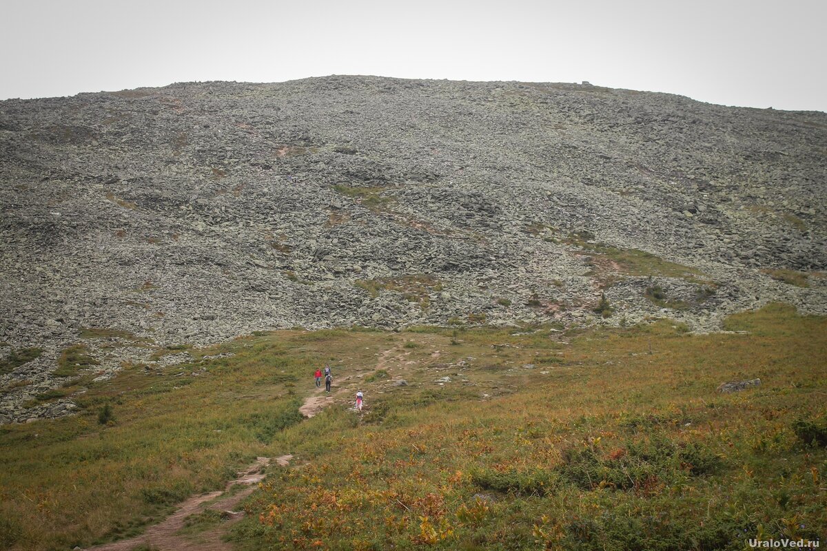 Курумник у главной вершины Иремеля