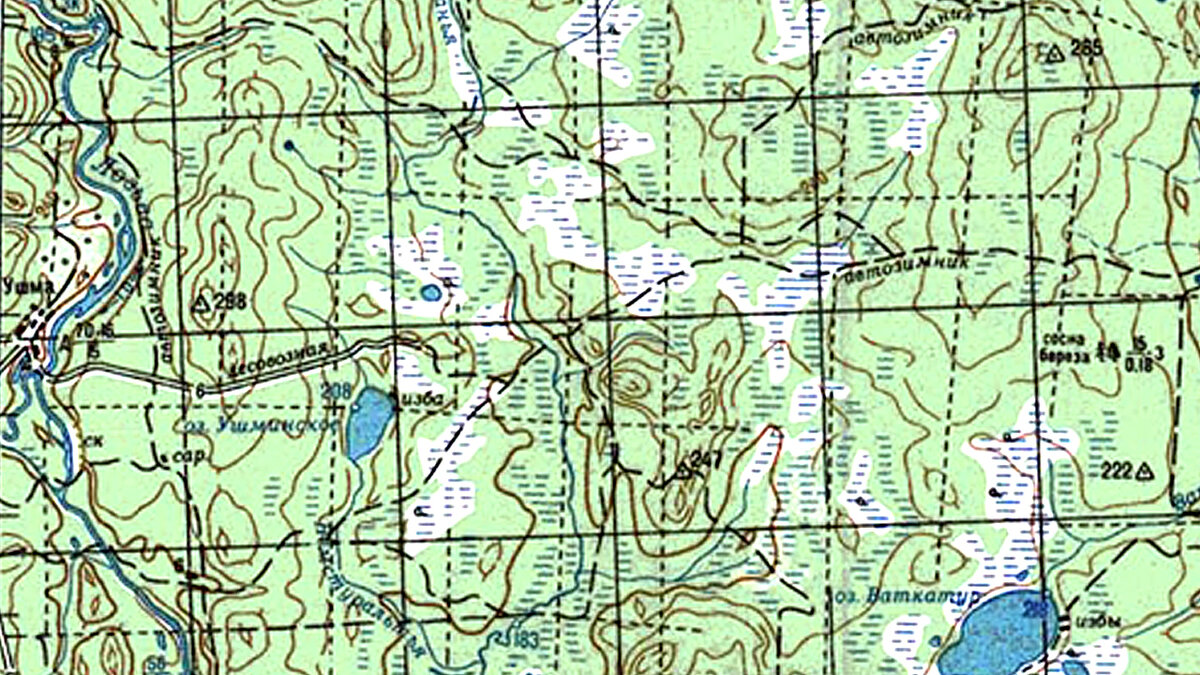 Перевал Дятлова. Карта с лесовозной дорогой.