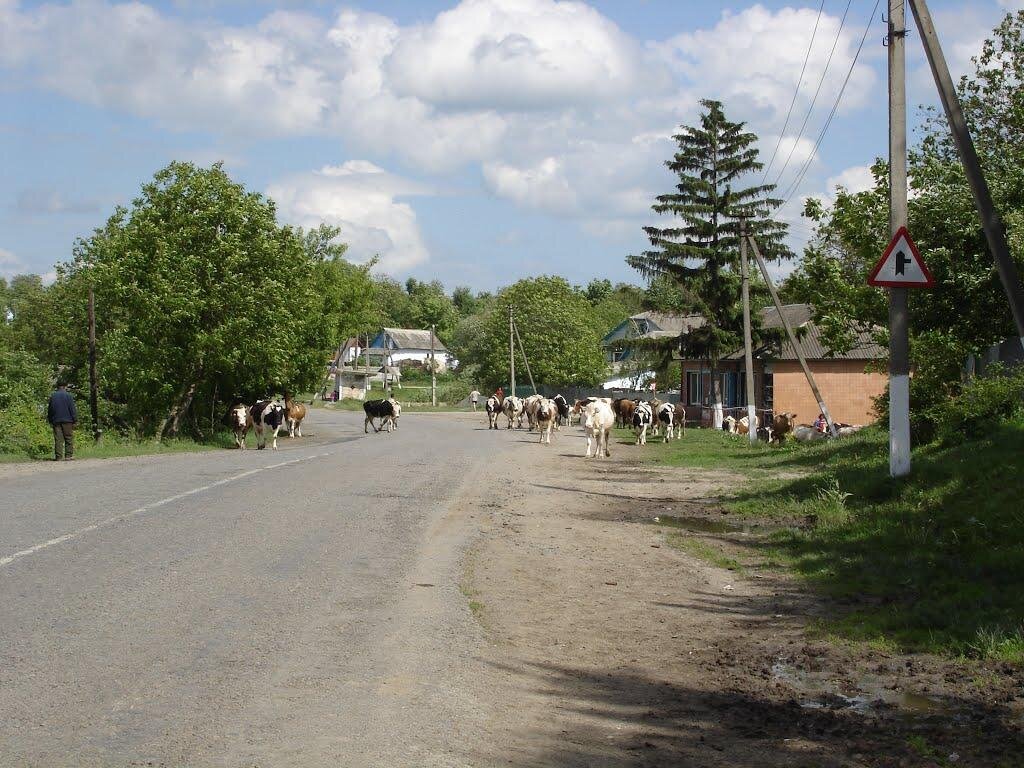 Центральная улица села Карыльское Черниговской области. Современное фото.