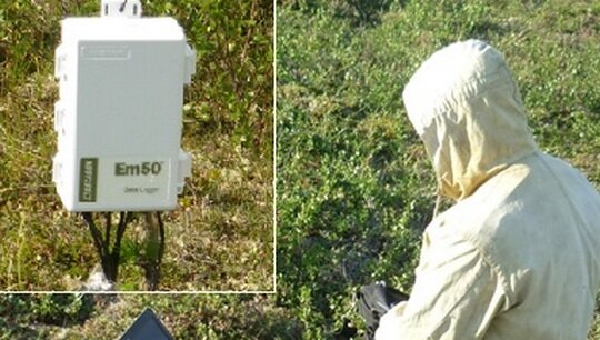 Опыты ученые ставят с помощью приборов по контролю температурного режима почв. Фото: Виктор Валдайских