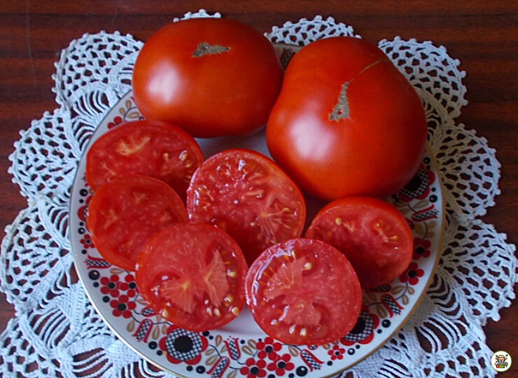 Томаты Монгол-карлик в разрезе