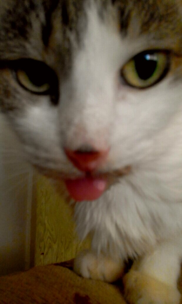 Варюша, в свободное от военных действий, время