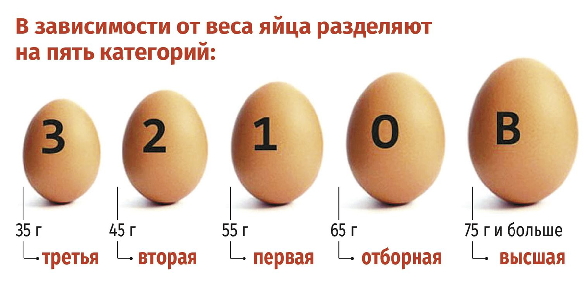 Изображение взято с сайта https://yajka.ru/