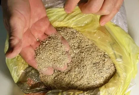 домашняя прикормка, рыбалка.