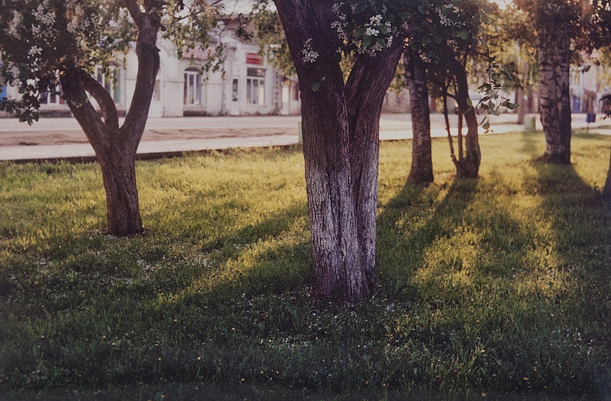 Фотографии сделанные на пленку