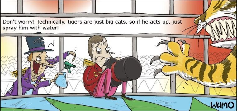 Не бойся, по сути тигры те же кошки, только большие. Так что в случае чего пшикни в него водичкой.